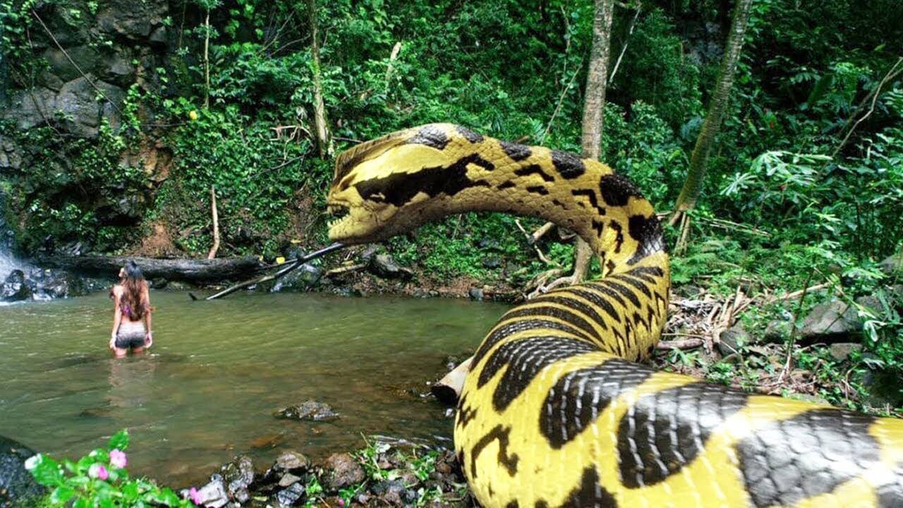 ฝันเห็นงูเหลือมตัวใหญ่