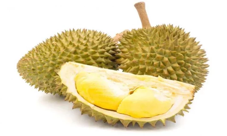 ฝันเห็นทุเรียน
