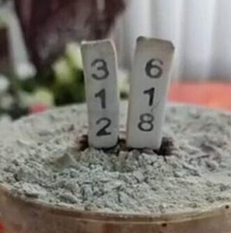 เลขหวย เลขเด็ด